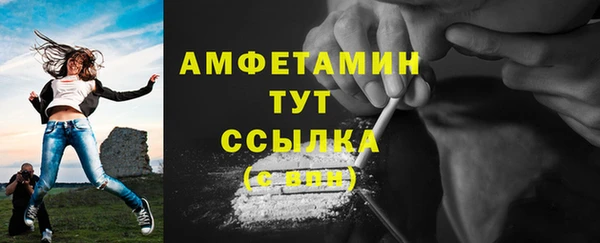 шишки Беломорск