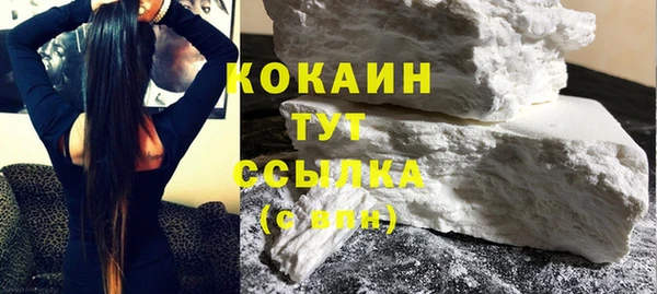 шишки Беломорск